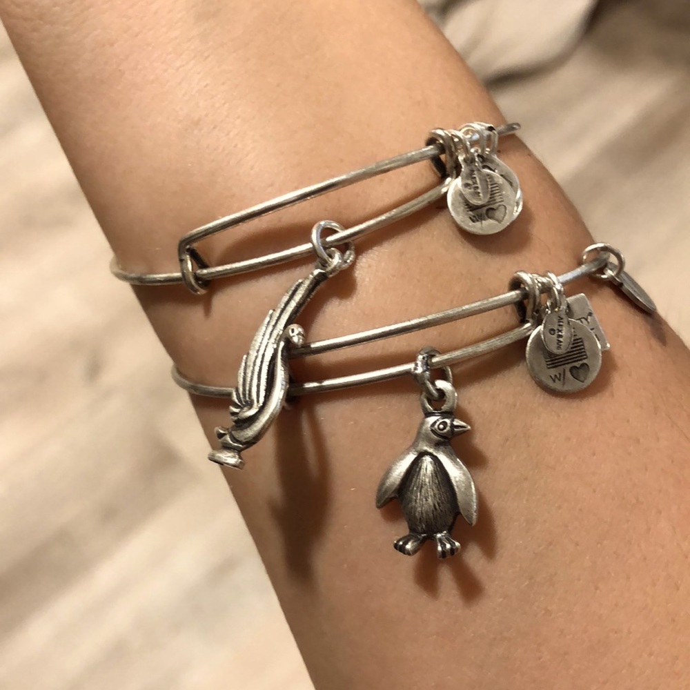 Set of 2 Alex and Ani Bracelets